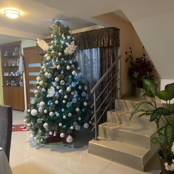 WhatsApp Image 2025-02-13 at 12.50.50 PM (2)